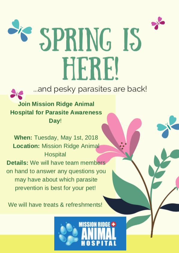 Mission Ridge Animal Hospital Parasite Awareness Day poster