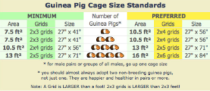cage size