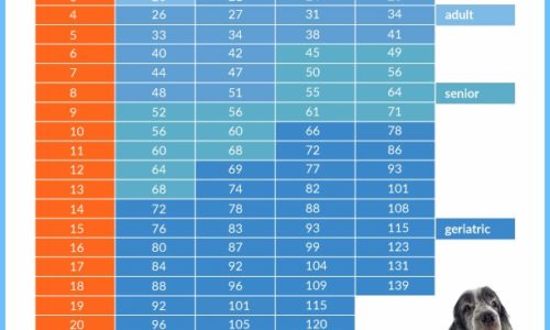 How old is your dog in people years chart